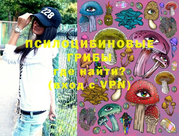ПСИЛОЦИБИНОВЫЕ ГРИБЫ Богданович