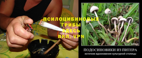 кокаин Белокуриха