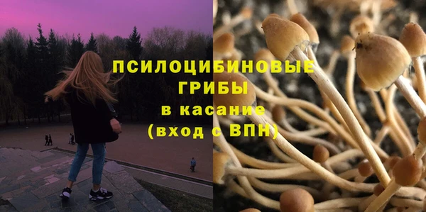 ГАЛЛЮЦИНОГЕННЫЕ ГРИБЫ Беломорск